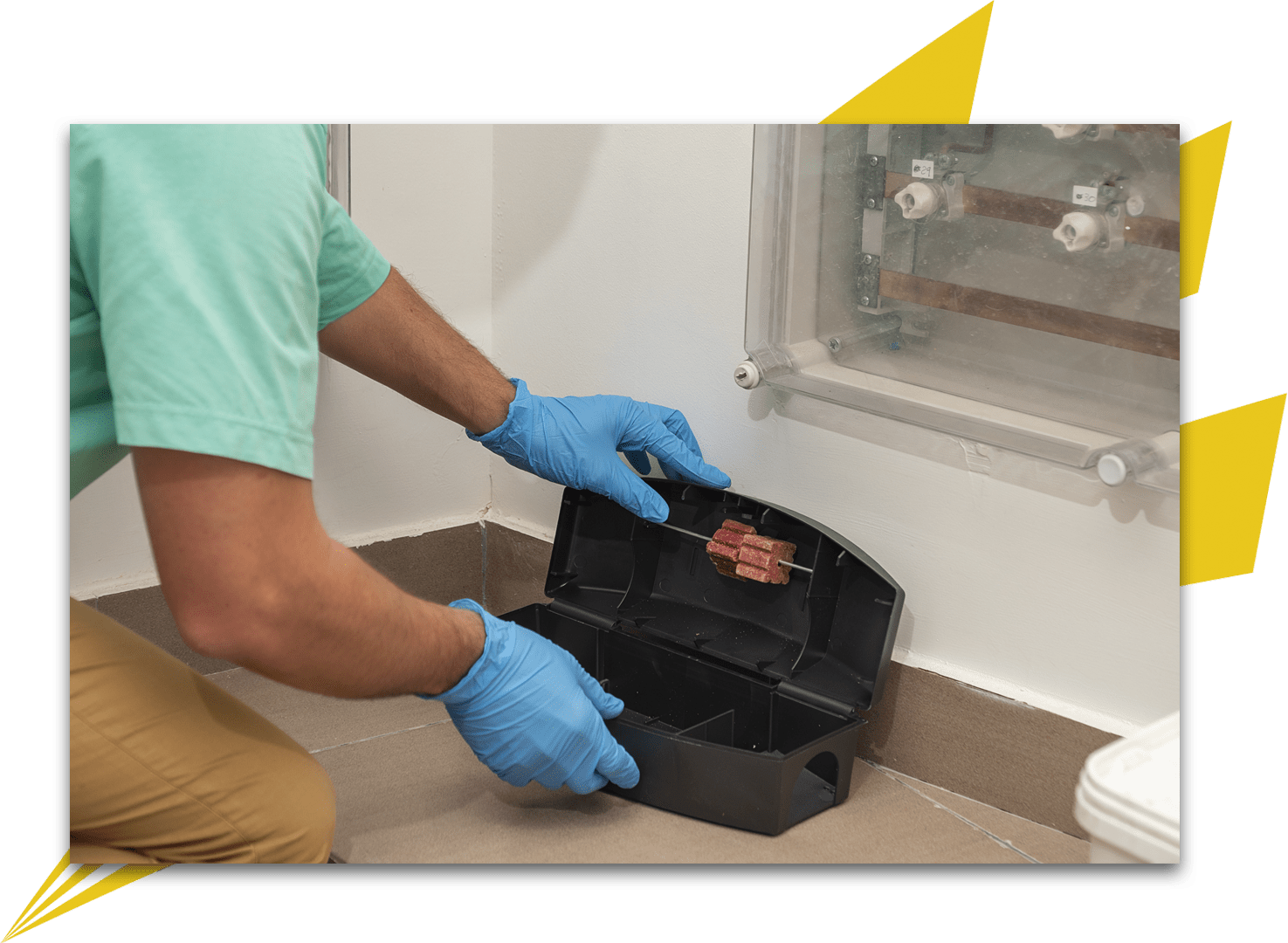 Pest Control for Commercial & Retail Properties in The Greater Philadelphia Area