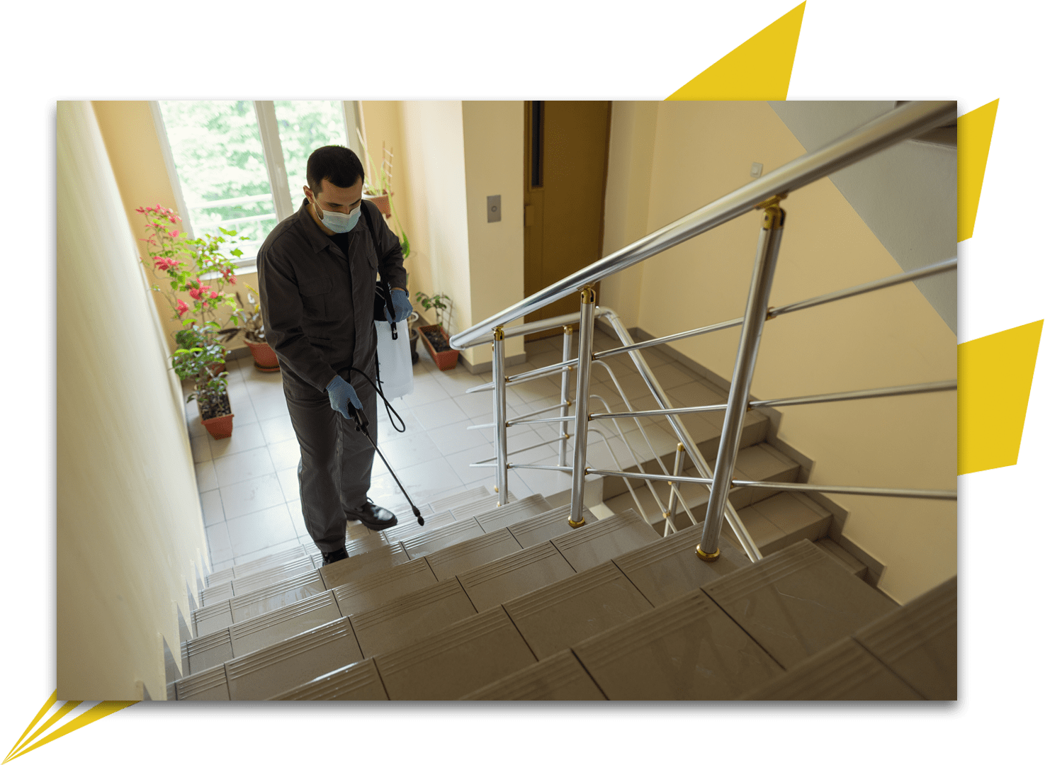 Commercial Pest Control for Hotels & Apartments Throughout Greater Philadelphia