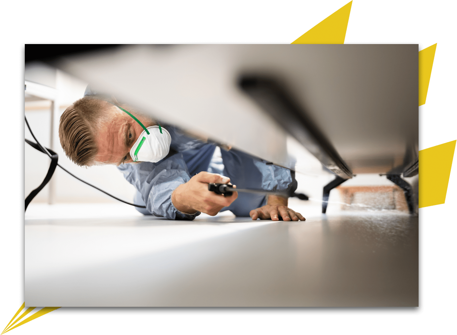Greater Philadelphia Commercial Pest Control for Hotels & Apartments