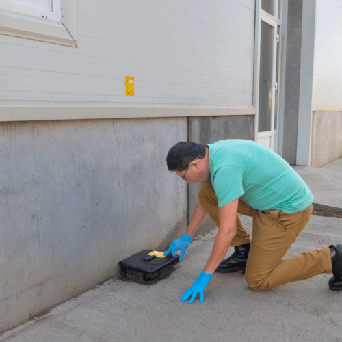 Pest Management for Multi-Family Apartment Community in Greater Philadelphia